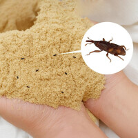 Rice Bran Weevils And Weevil Control Procedures