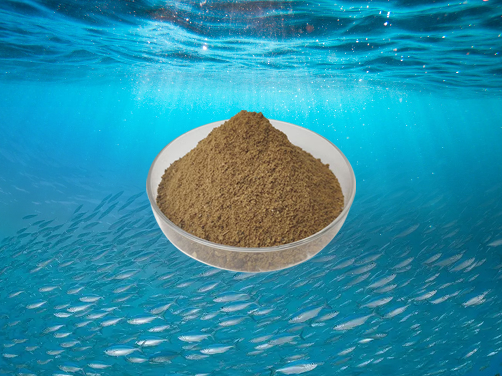 Fish Meal - A Nutritious Ingredient Source In Animal Feed