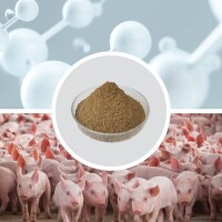 Bột Cá - Mắt Xích Dinh Dưỡng Thiết Yếu Cho Vật Nuôi