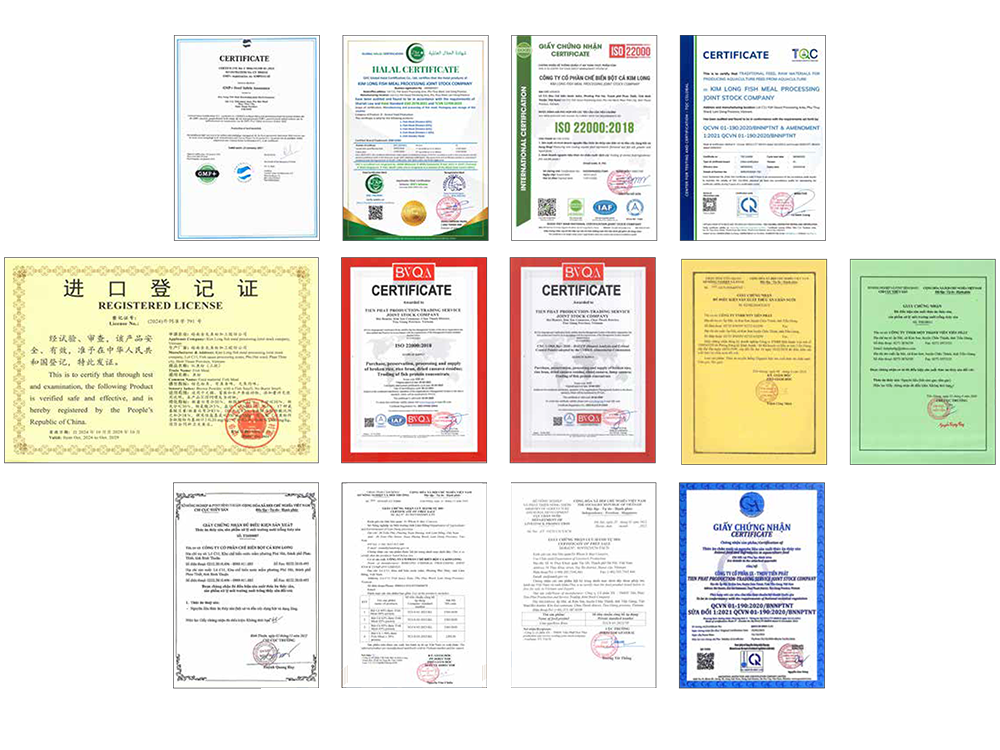 PSD CHUNG NHAN copy