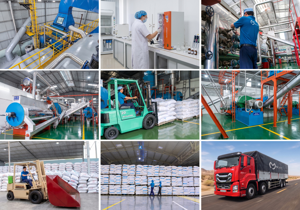Quy tr&igrave;nh sản xuất