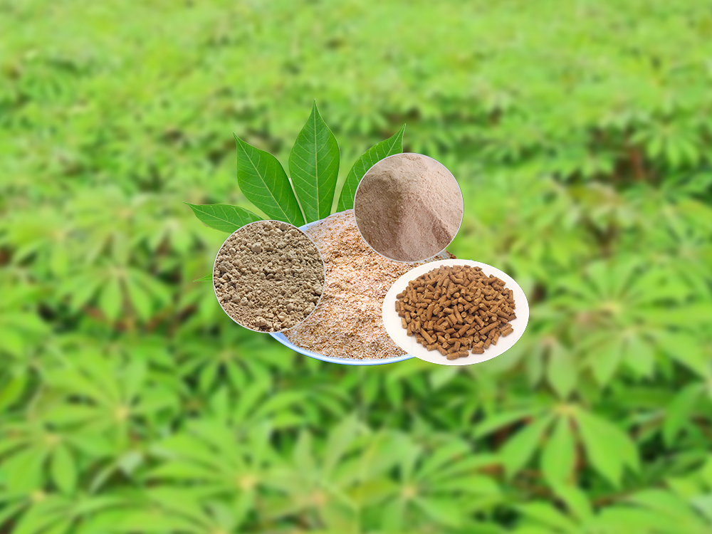 bã mì thức ăn chăn nuôi