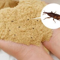 Rice Bran Weevils And Weevil Control Procedures