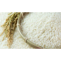 Broken Rice In Farming - A Rich Source Of Nutrition For Animals