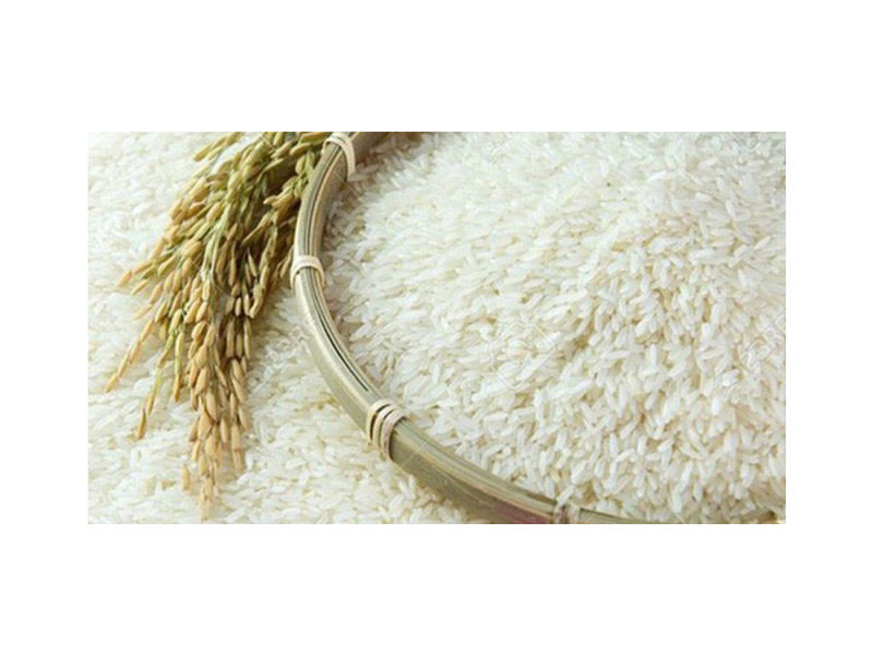 Broken Rice In Farming - A Rich Source Of Nutrition For Animals