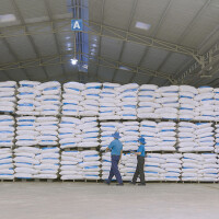 Masi Conquers the International Market