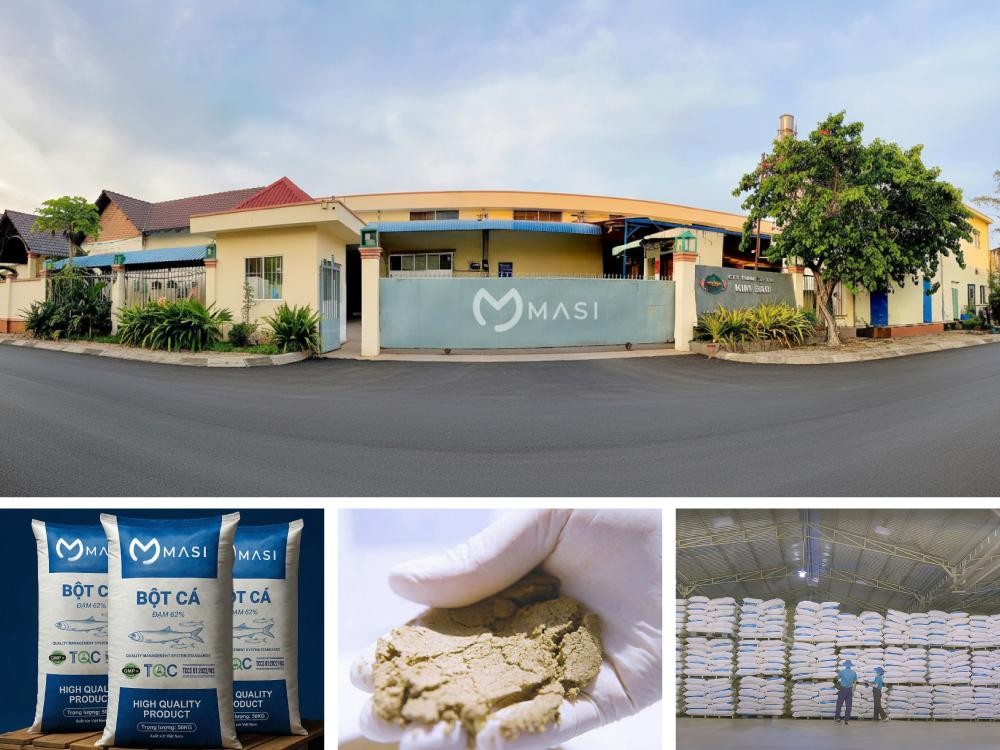 day-chuyen-san-xuat-nha-may-kim-dao