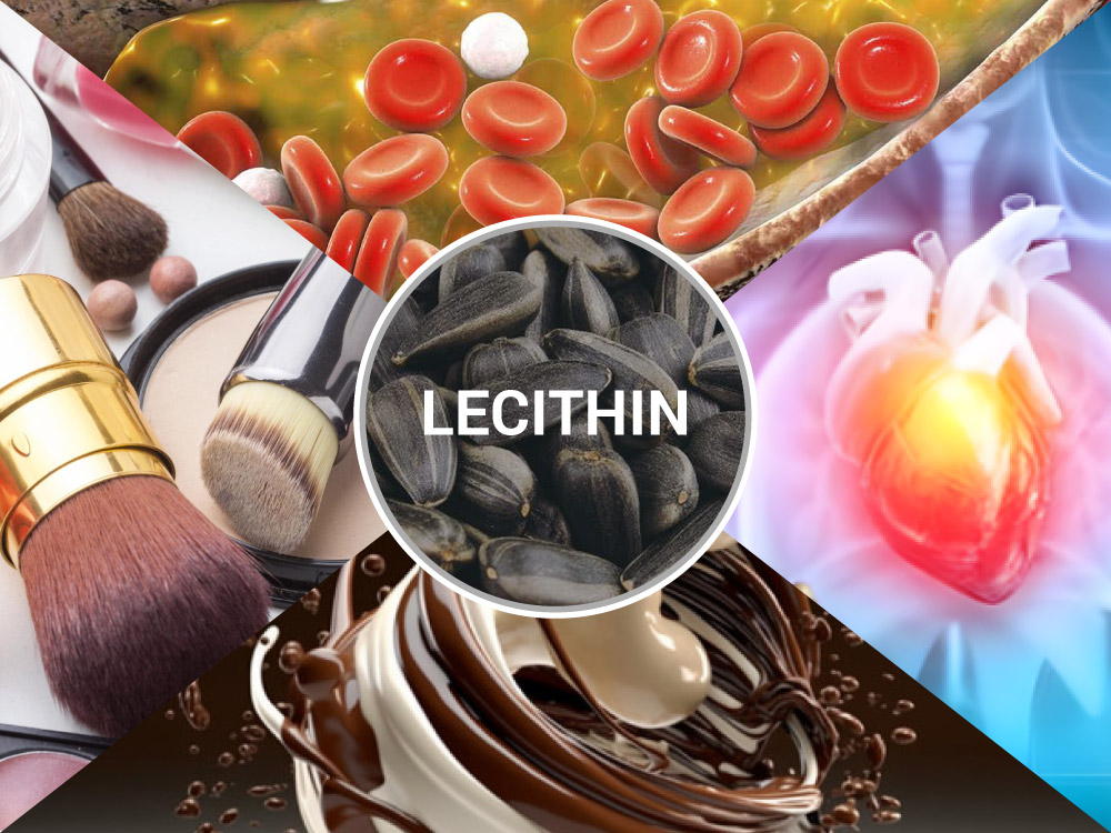lecithin-huong-duong 3