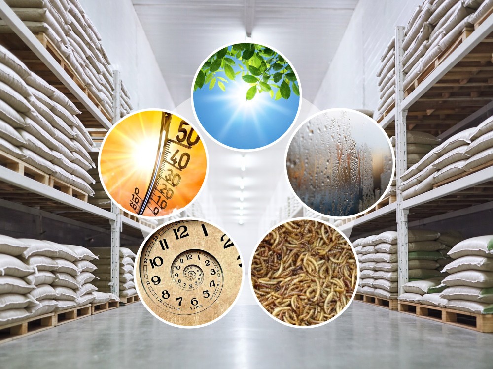 Hướng Dẫn Cách Bảo Quản Thức Ăn Chăn Nuôi Sử Dụng Bền Lâu