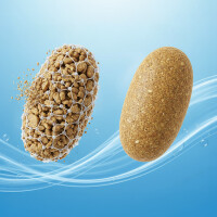 Application Of Soy Lecithin In Aquaculture Feed