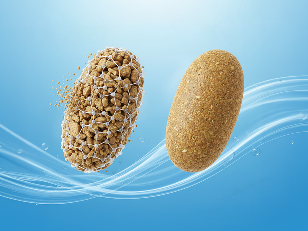 Application Of Soy Lecithin In Aquaculture Feed Application Of Soy Lecithin In Aquaculture Feed