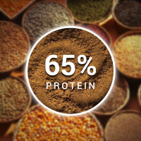 Poultry Meal 65% Protein for Animal Feed Production
